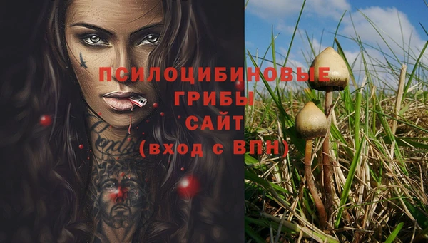 ПСИЛОЦИБИНОВЫЕ ГРИБЫ Абаза
