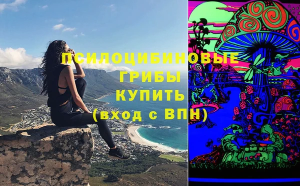 ПСИЛОЦИБИНОВЫЕ ГРИБЫ Абаза