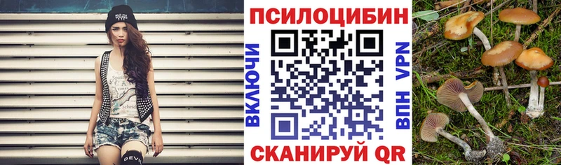 мега зеркало Кострома площадка телеграм Галлюциногенные грибы Cubensis